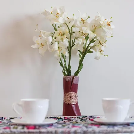 Tatil Evi Gorgeous In With Wifi