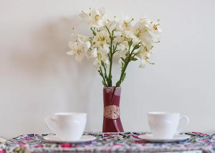 別荘 Gorgeous In With Wifi